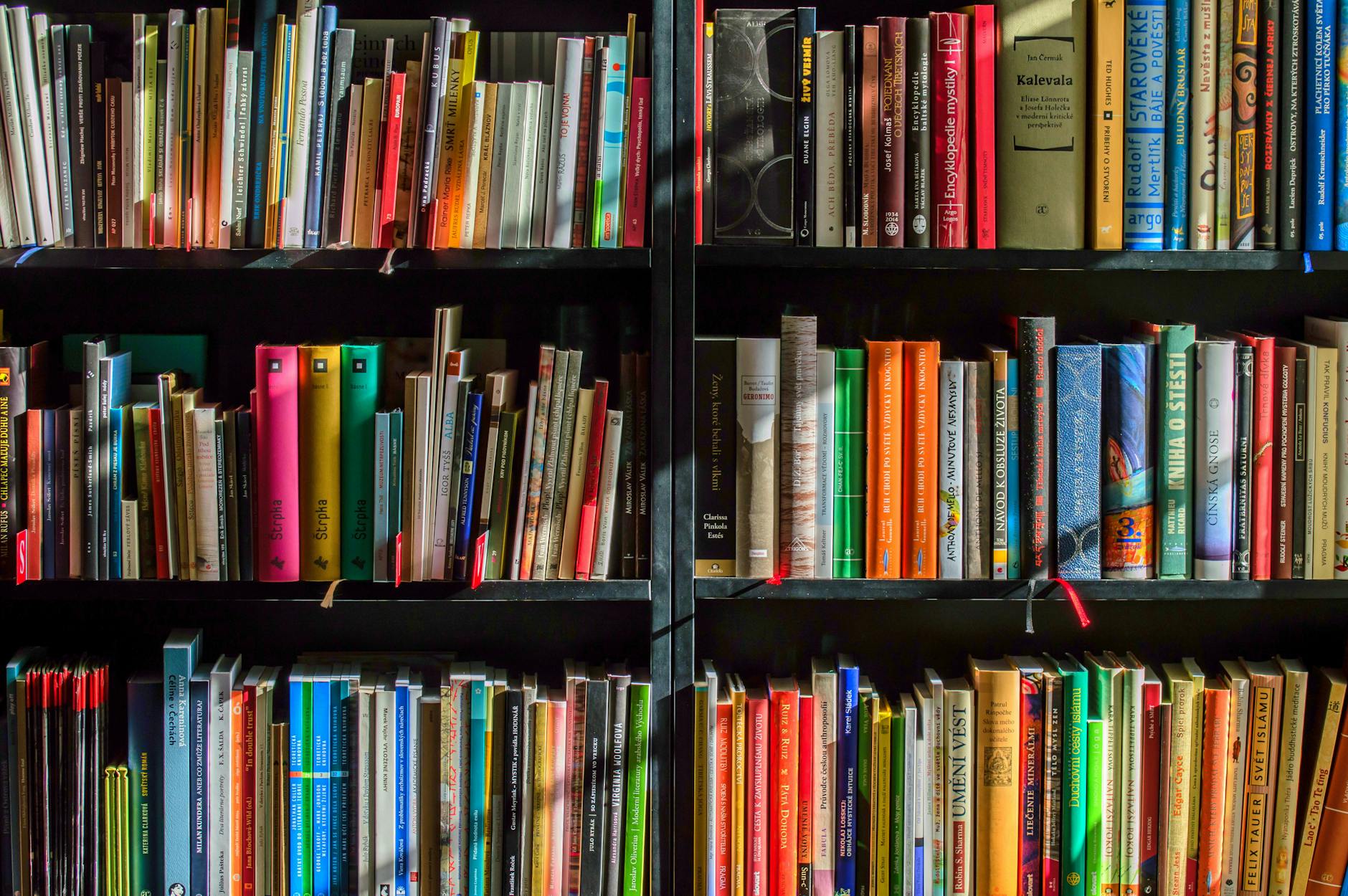 Go-To Book Recommendations for Fans of Fantasy