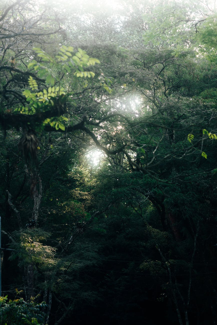 Five Magic Book Reviews