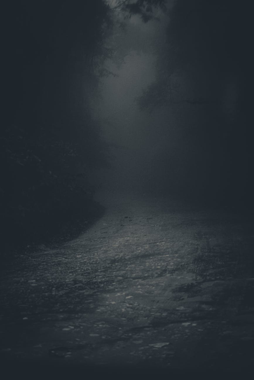 Horror Month: Everything I Read and Watched, Reviewed