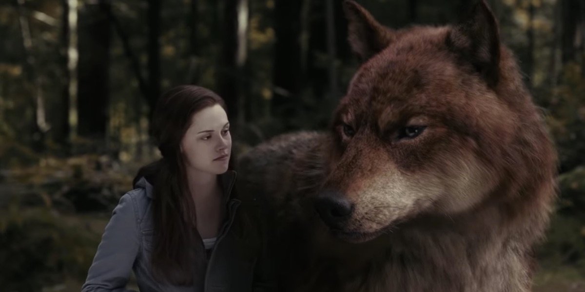 People Are Loving This Twilight Fan's Reaction To Finding Out How The Wolf  Scenes Were Filmed | Cinemablend