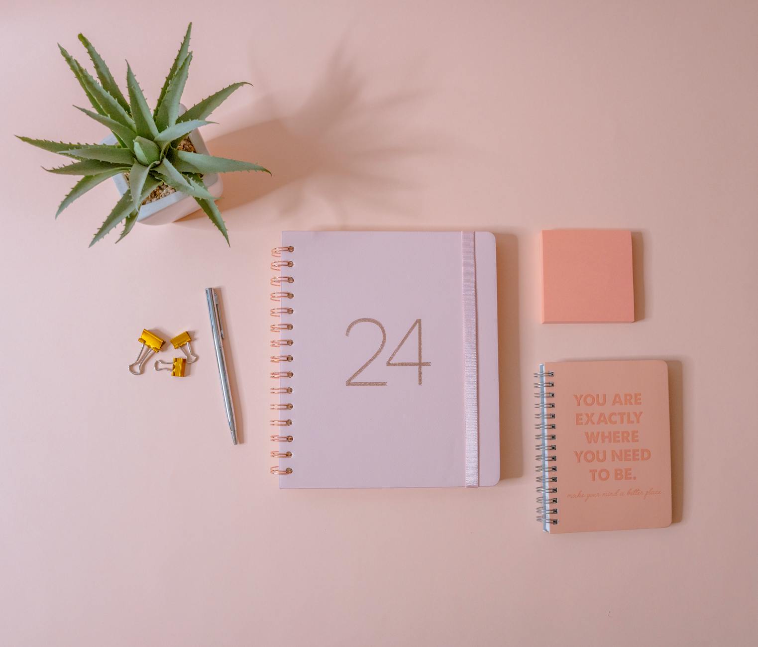 State of the Nation / My December Goals