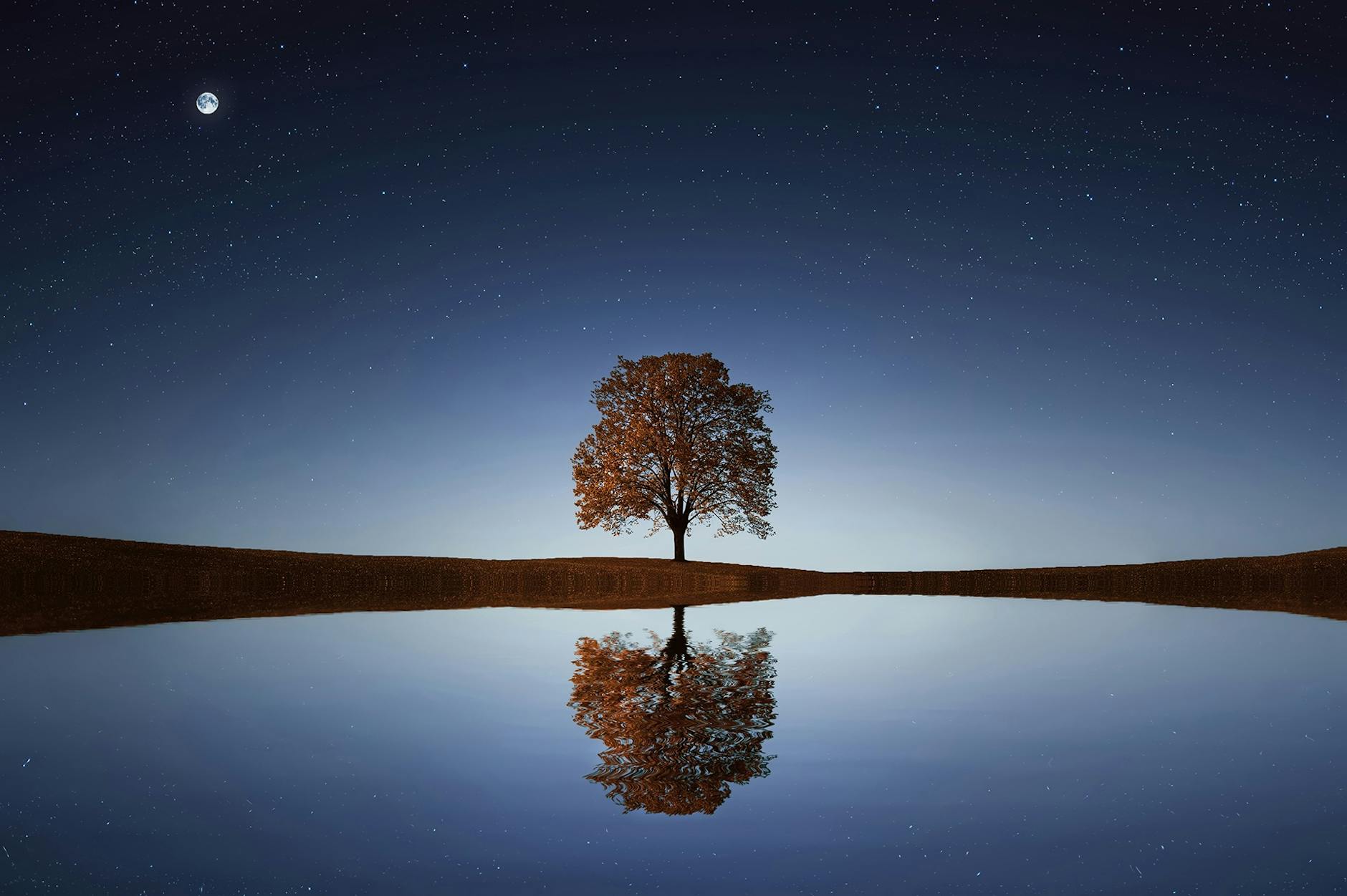 Reflecting on my October Writing Goals